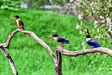 《战地2042》第三赛季战斗通行证预告 今日正式上线